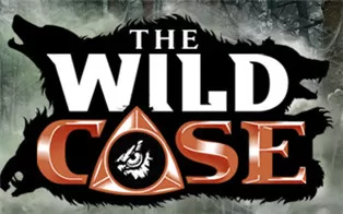 switch《荒野案件 The Wild Case》中文版nsp/xci整合版下载【含1.2.5补丁】