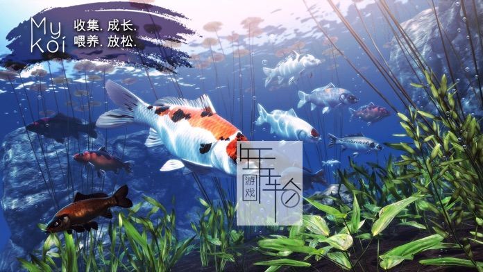 PC《我的锦鲤 My Koi》免安装中文版下载_0