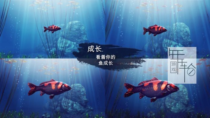 PC《我的锦鲤 My Koi》免安装中文版下载_2