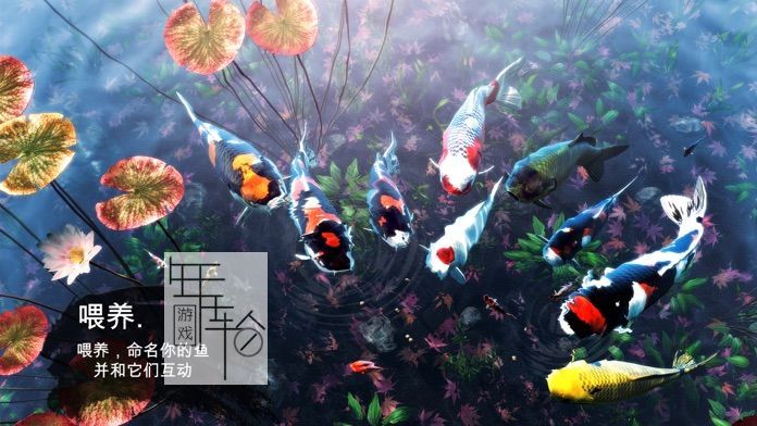 PC《我的锦鲤 My Koi》免安装中文版下载_3