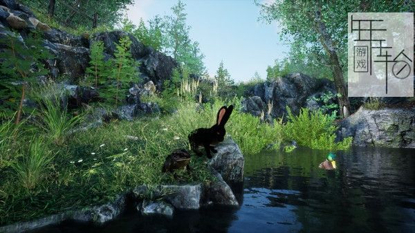 PC《兔子草场 Rabbit Meadow》英文版下载_0