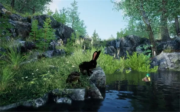 PC《兔子草场 Rabbit Meadow》英文版下载
