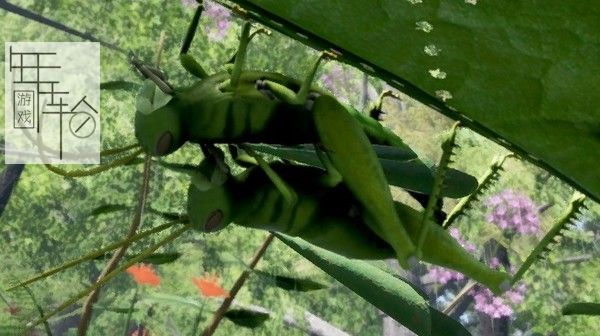 PC《自然与生命：醉心花蜜 Nature And Life - Drunk On Nectar》英文版下载（v0.4.3）_1