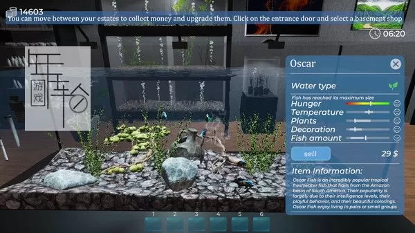 PC《水族馆 Aquarist》免安装中文版下载（Build.8392093）_3