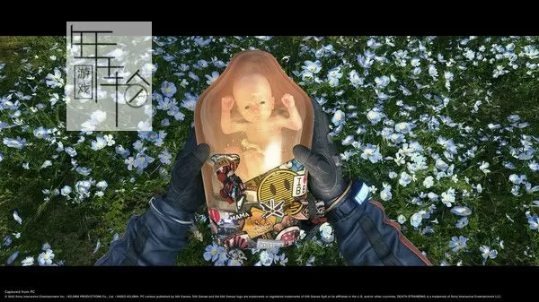 PC《死亡搁浅：导演剪辑版 DEATH STRANDING》中文版下载v1.004_3