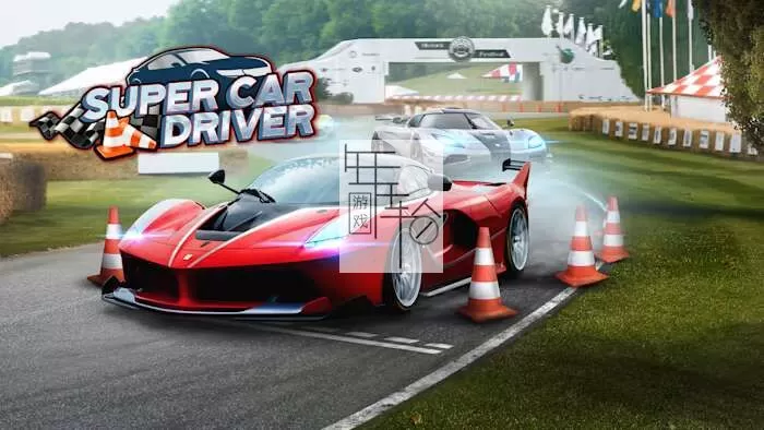 switch《超级汽车司机 Super Car Driver》英文版nsp/xci下载_0