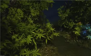 PC《Creatura》英文版下载