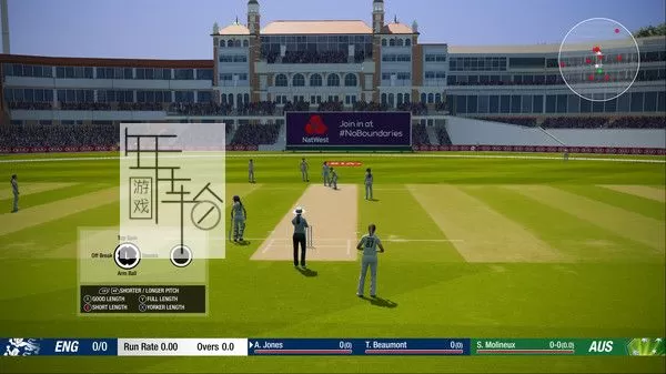 PC《板球19 Cricket 19》英文版下载_1