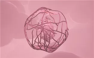 PC《阿尼玛 Anima》英文版下载