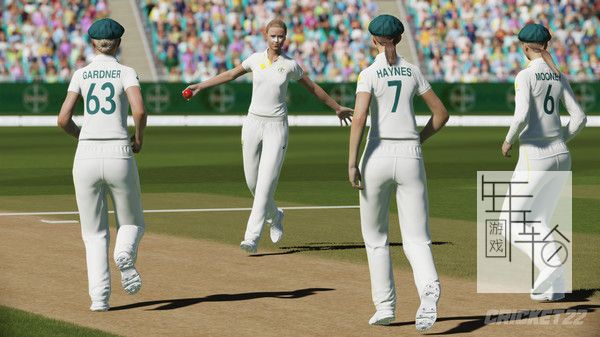 PC《板球22 Cricket 22》英文版下载_2