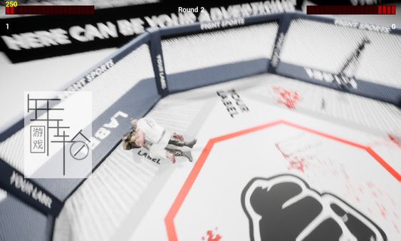 PC《MMA锦标赛 MMA Championship》英文版下载_1