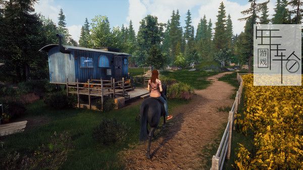 PC《风暴：伟大友谊的开始 Windstorm Start of a Great Friendship》英文版下载_1