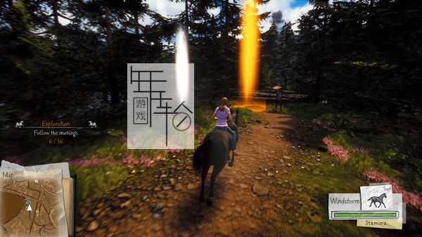 PC《风暴：伟大友谊的开始 Windstorm Start of a Great Friendship》英文版下载_2