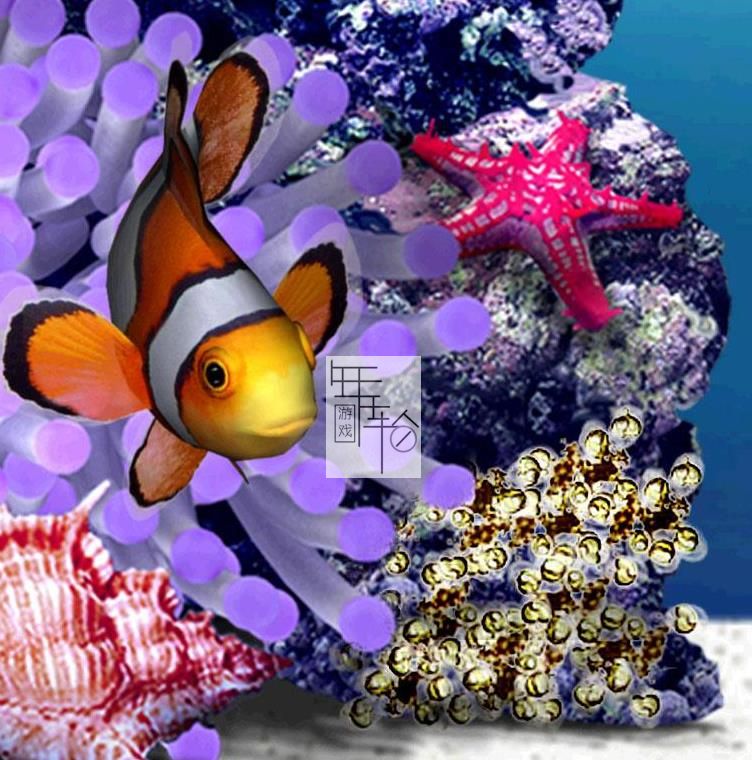 Xbox360《热带鱼水族馆》日文版下载_0