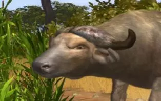 Xbox360《坎贝拉猎人》英文版下载
