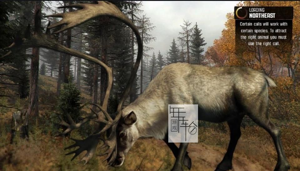 Xbox360《坎贝拉猎人2010》英文版下载_0