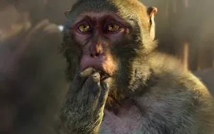 Xbox360《孤岛惊魂4》中文版下载