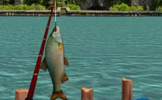 3DS《真实钓鱼3D Fish on 3D》中文版cia下载【含v1.02】