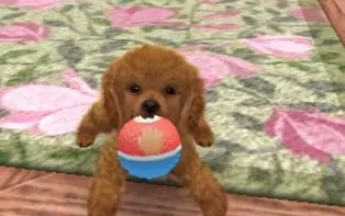 3DS《任天猫狗 玩具贵宾犬与新伙伴 Nintendogs + Cats》港版cia下载