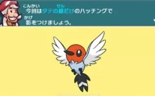 3DS《宝可梦绘心教室 Art Academy》中文版cia下载