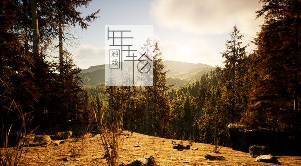 PC《黄金猎人 Gold Hunter》英文版下载_0