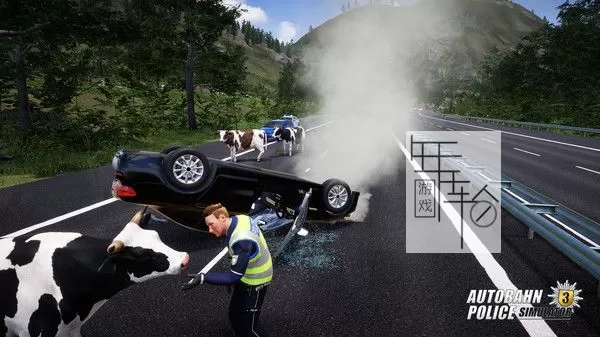 【5.05】PS4《高速公路警察模拟3 Autobahn Police Simulator 3》英文版PKG下载【含1.12补丁】_2