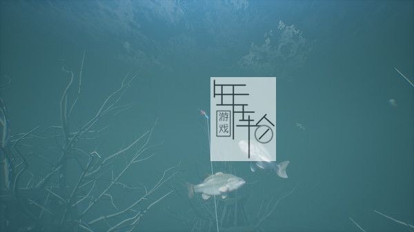 switch《鲈鱼大师赛2022超级豪华版 Bassmaster Fishing 2022 Super Deluxe Edition》中文版nsz下载+_4