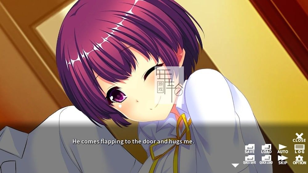 switch《Doki Doki Family 特异体质者的砰然心跳家庭生活》中文版nsp下载_2