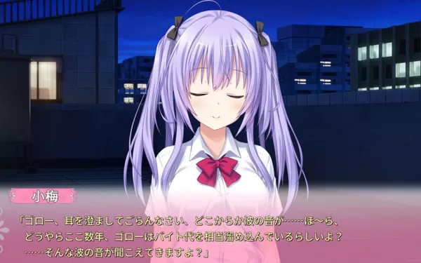 switch《有她在身边的幸福 Summer Surprise》日文版nsp下载【含1.0.1补丁】