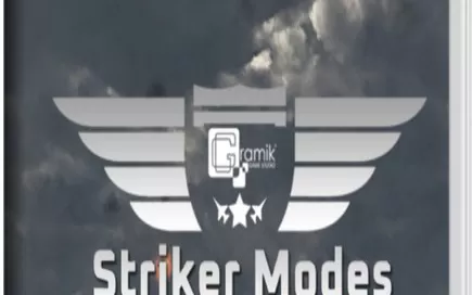 switch《STRIKER MODES》英文版nsp下载
