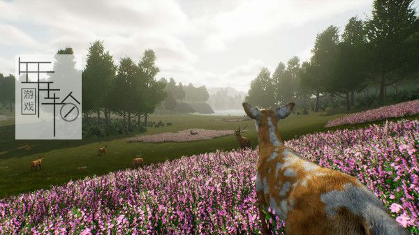 PC 《鹿之旅 Deer Journey》中文版下载_0