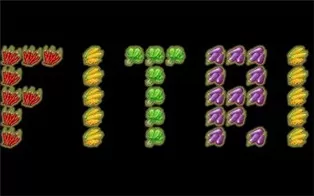 PC《菲特里兹 FITRIZ》英文版下载