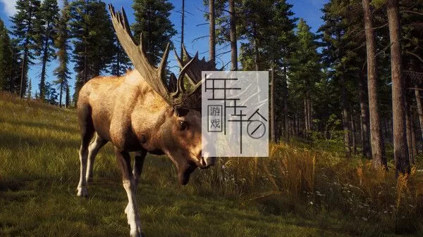 PC《狩猎之道 Way of the Hunter》中文版下载【v1.23版|集成全DLC】_0