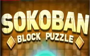 switch《Sokoban Block Puzzle》英文版nsp下载