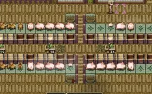 switch《龙背上的农家 DRAGO NOKA》中文版nsp下载+1.0.6补丁