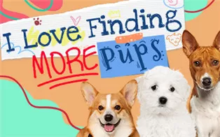 switch《我爱找更多狗：典藏版 I Love Finding MORE Pups Collector's Edition》英文版nsz下载