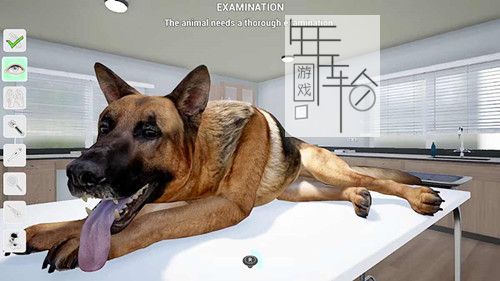 switch《My Life Pet Vet》英文版nsp下载_3