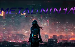switch《METAL NINJA 金属忍者》英文版nsp下载