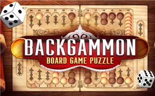 switch《双陆棋 Backgammon Board Game Puzzle》英文版nsp下载