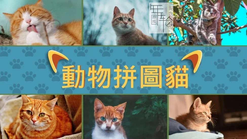 switch《动物拼图:猫 - Animal Puzzle Cats》中文版nsp下载+1.06补丁_2