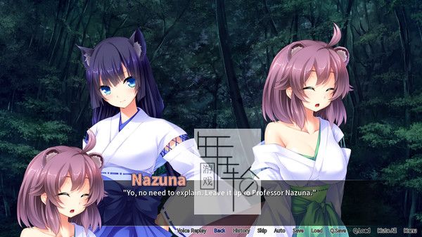 switch《狂野的浪漫(Wild Romance)》日文版nsp下载_3