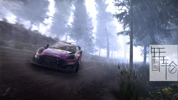 switch《世界汽车拉力锦标赛：世代 WRC Generations – The FIA WRC Official Game》中文版1.2.2补丁+5DLC下载_4