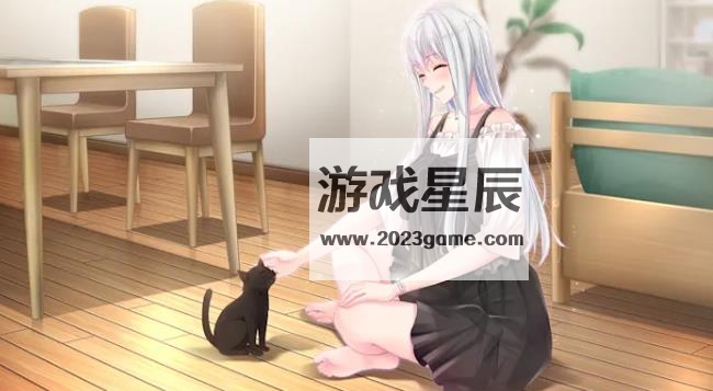 switch《少女占星家预言未来（星と乙女が占う未来）》日文版nsp下载_2