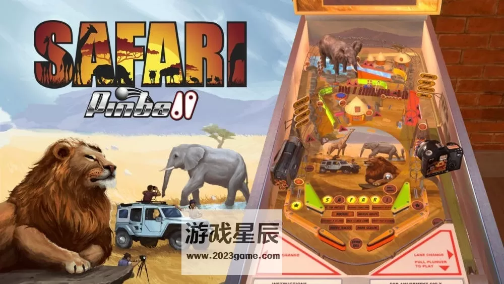 switch《疯狂弹子球 Wild & Adventure Pinball》英文版nsp下载_3