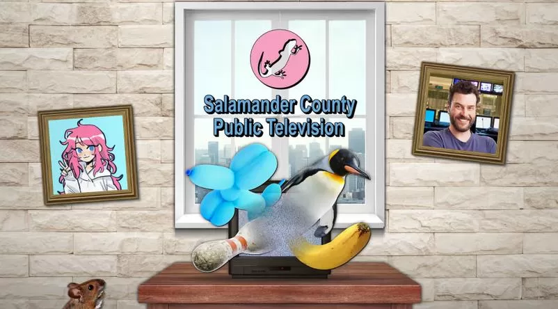 switch《蝾螈县公共电视台 Salamander County Public Television》英文版nsz下载_0