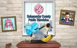 switch《蝾螈县公共电视台 Salamander County Public Television》英文版nsz下载