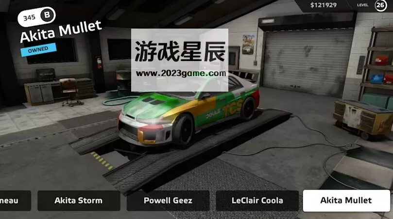 switch《拉力赛(Go Rally)》英文版nsp下载_3