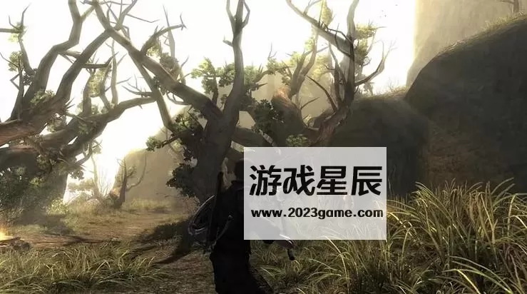 【5.05】PS4《崛起 Risen》英文版PKG下载v1.02_1