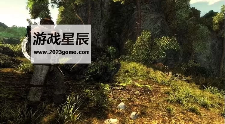【5.05】PS4《崛起 Risen》英文版PKG下载v1.02_3