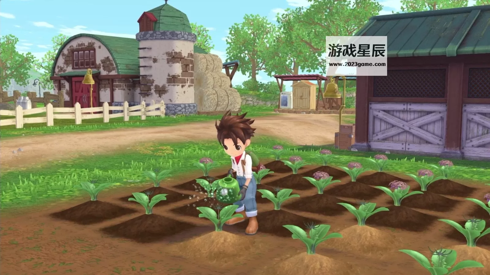PC《牧场物语 Welcome! 美丽人生 STORY OF SEASONS A Wonderful Life》中文版下载_5